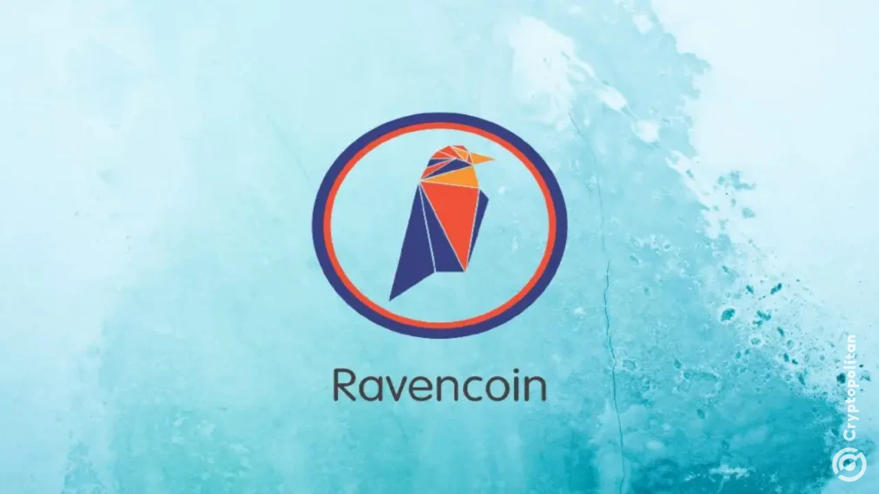 Ravencoin consensus bug puts exchanges and bridges on reorg alert
