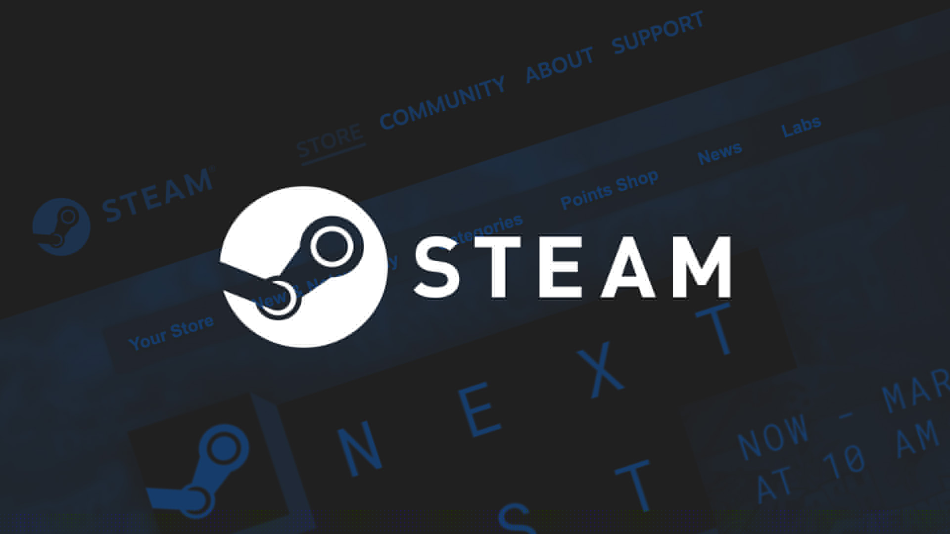 New Steam game has 300,000 players, but mostly negative reviews
