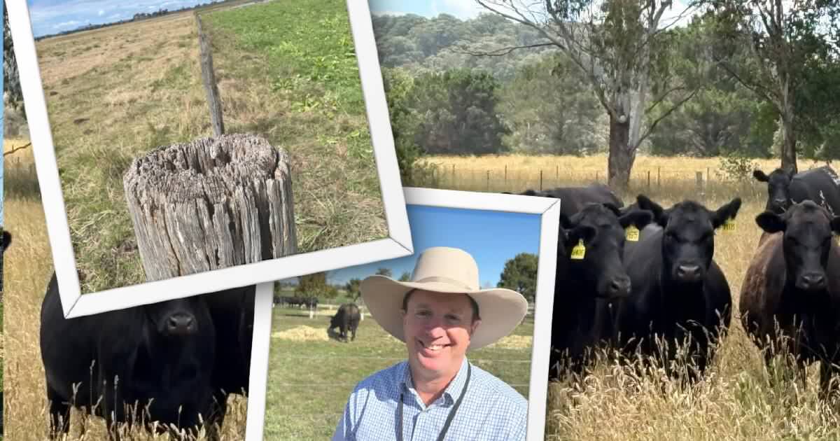 Soil carbon method review gives green light but new rules set to apply