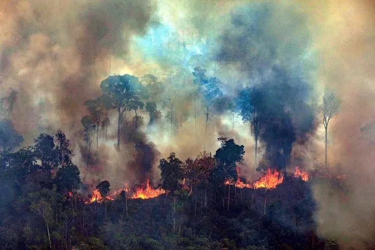Incendios en la Amazonía de Brasil: 90.000 focos en 2019, un aumento del 30% según el Instituto Nacional de Investigaciones Espaciales