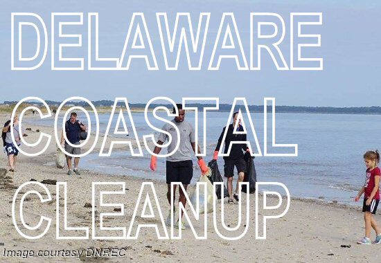 DNREC Opens Registration for 39th Annual Coastal Cleanup in September