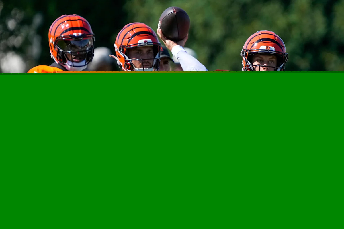 See Cincinnati Bengals projected record, division rank from USA Today