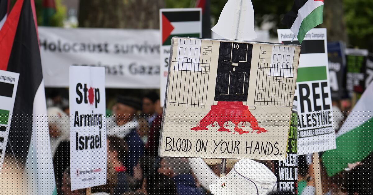 Calls to widen police power to ban pro-Palestine protests after synagogue attack