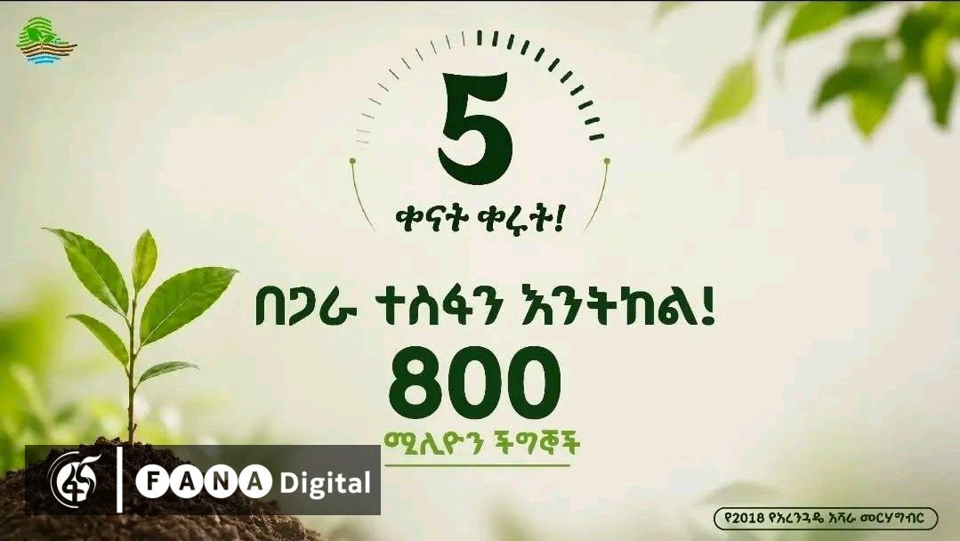 ጠቅላይ ሚኒስትር ዐቢይ (ዶ/ር) በአንድ ጀምበር 800 ሚሊየን ችግኞችን ለመትከል አስፈላጊው ዝግጅት እንዲደረግ ጥሪ አቀረቡ