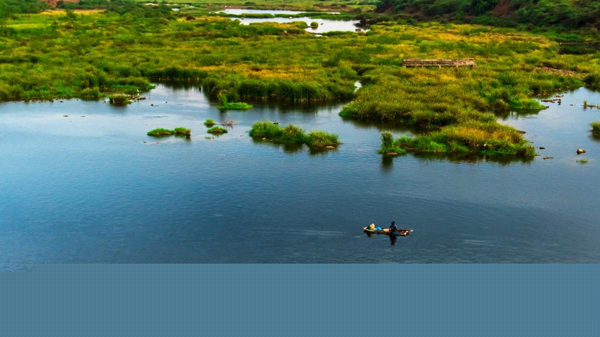 Trust seeks Central funds to conserve Gundlakamma river