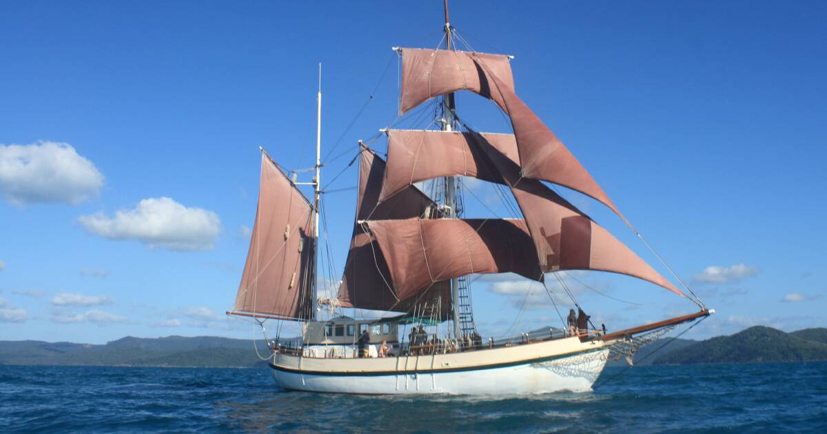 Have a whale of a time with the whole family at the Eden Whale Festival