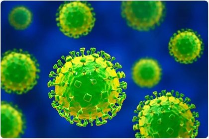 Singapore to conduct temperature screening at airport over Nipah outbreak