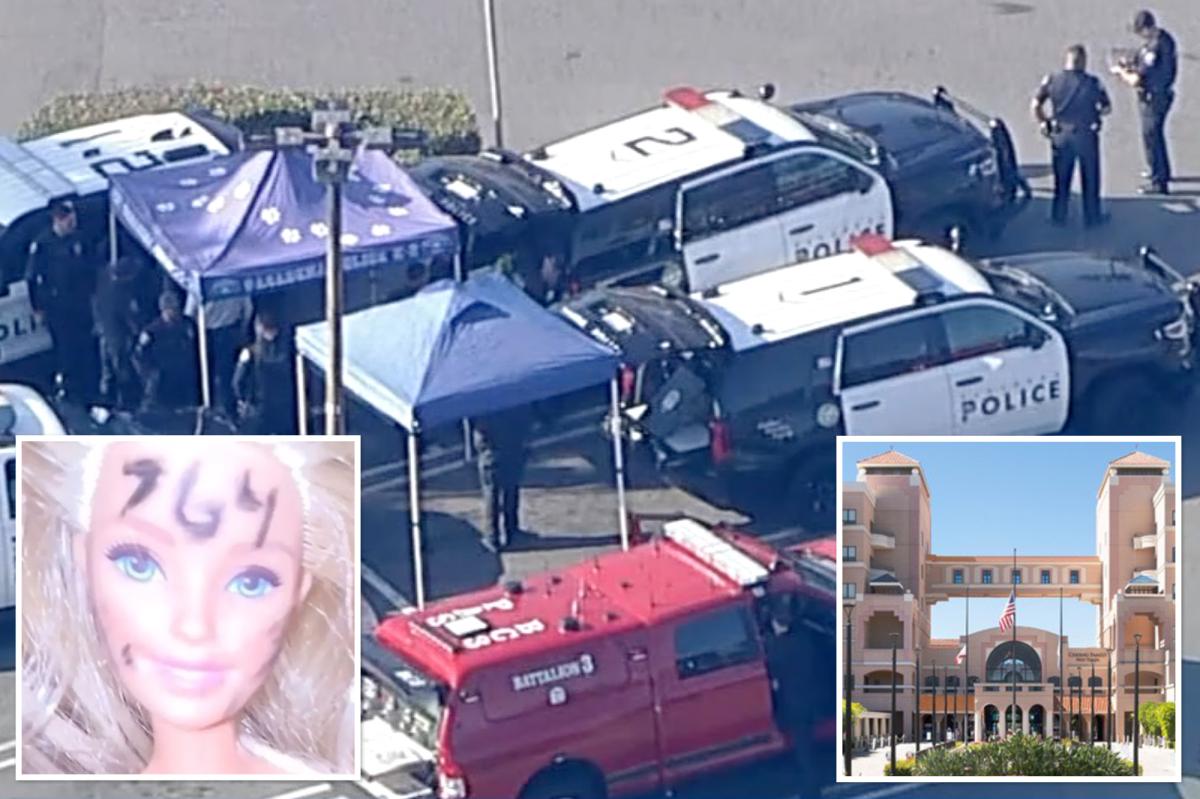 Extremist terror cult 764 revealed as sinister plotters behind bomb threat at SoCal hospital