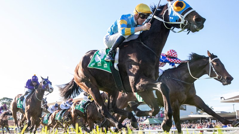 Three big hopes for trainers at Gosford
