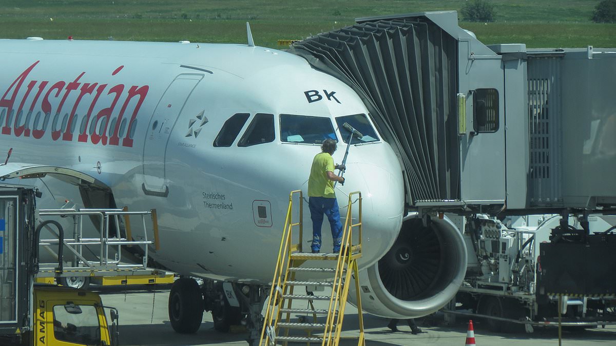 Pilot reveals the unusual reason why fizzy drinks are used to clean planes' windows