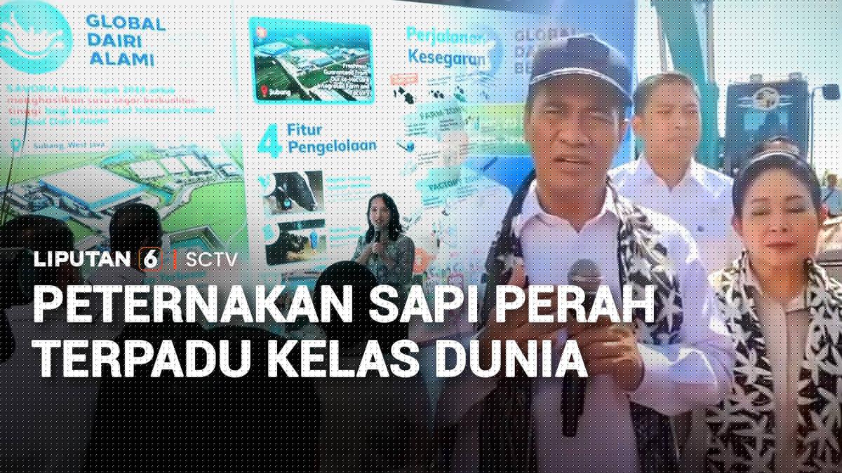 Peternakan Sapi Perah Terpadu Kelas Dunia