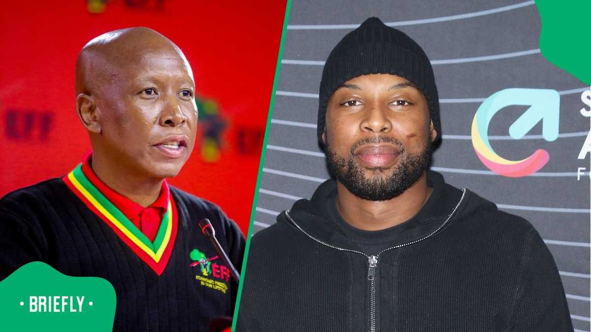 Sizwe Dhlomo names his choice for Joburg mayor, Julius Malema stunned