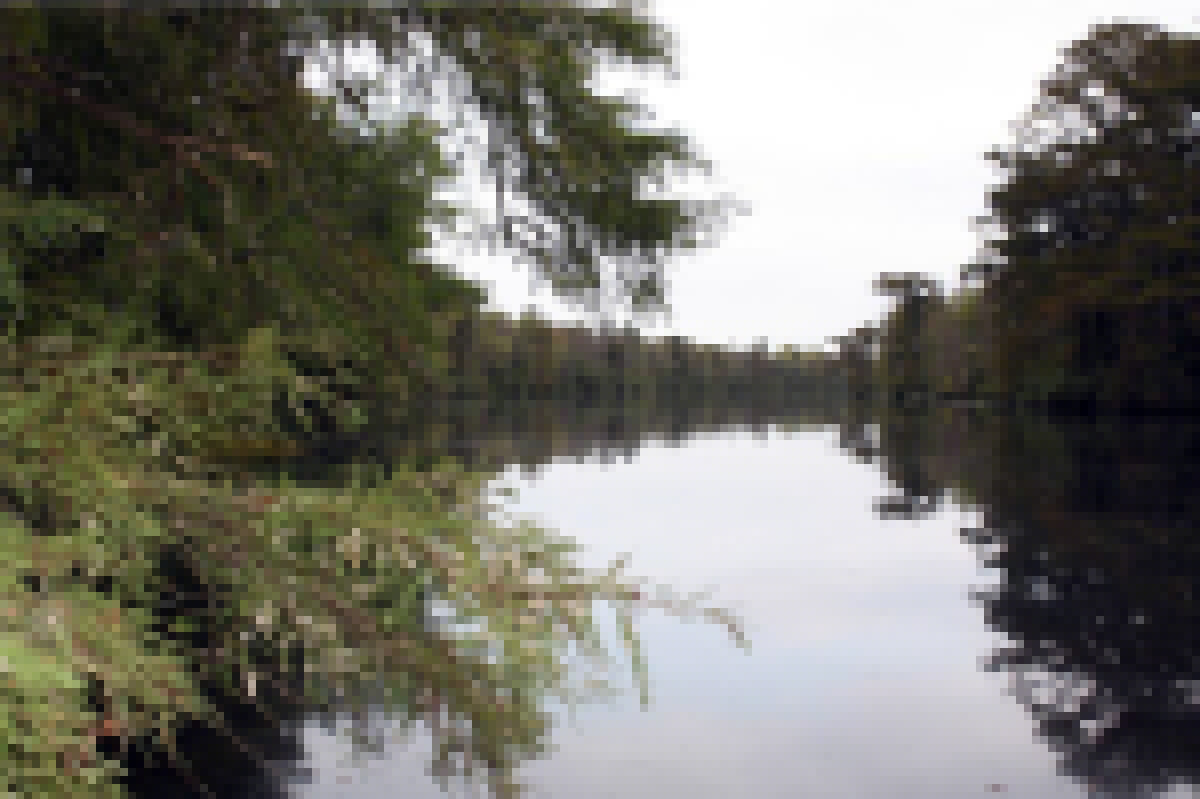 Public may comment on proposed wildlife rule changes