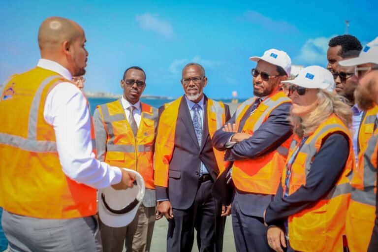 EU Delegation Inspects Mogadishu Port