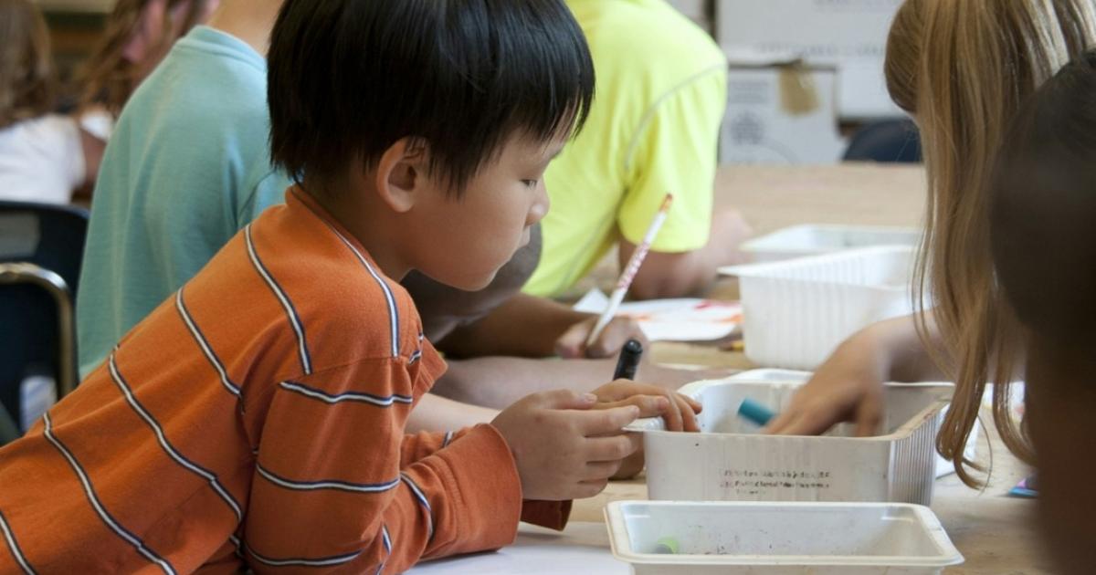 Free half-term crafts session for kids at Newport Museum and Gallery