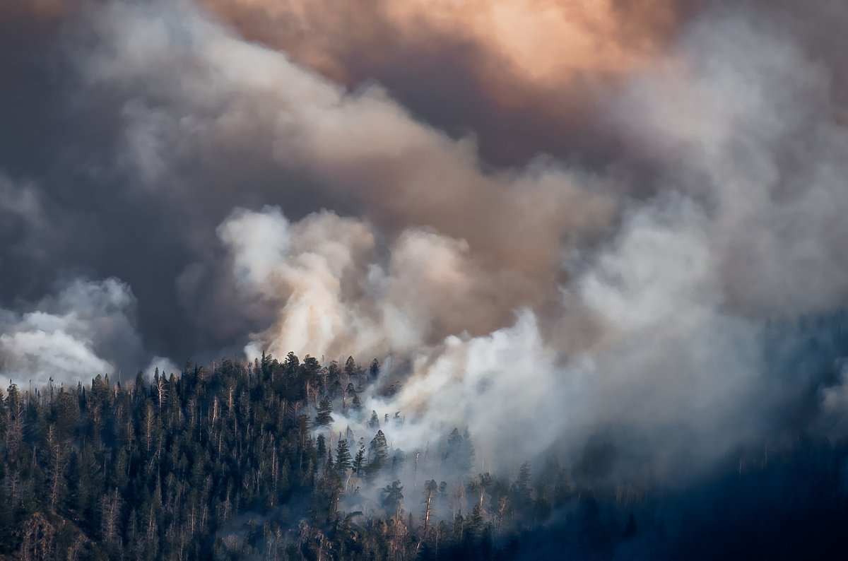 Inside the race to spot wildfires before they spiral out of control