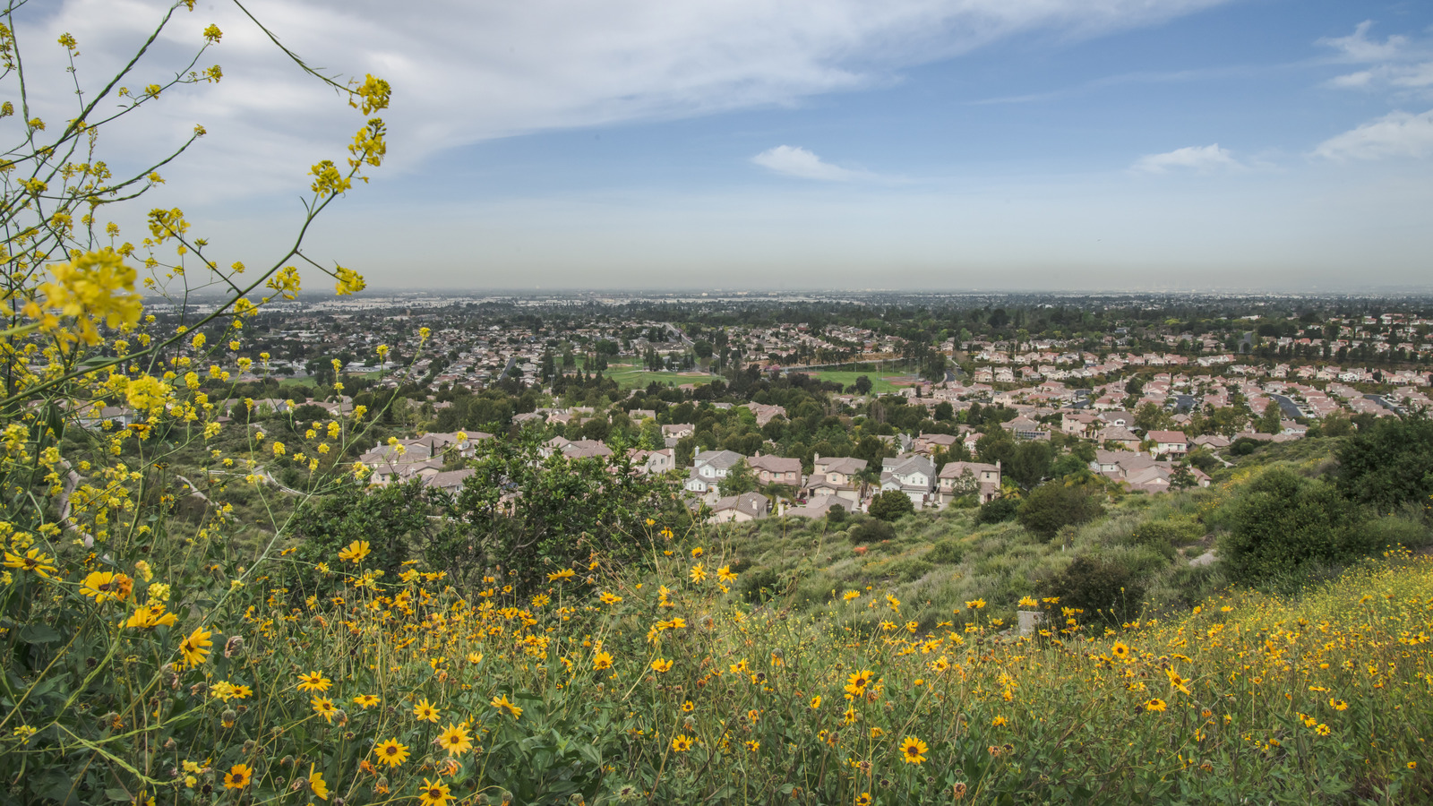California Has One Of The World's Rare Blue Zones Outside Los Angeles