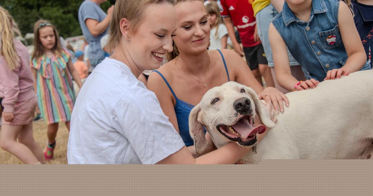 Thousands flock to popular Honiton Show