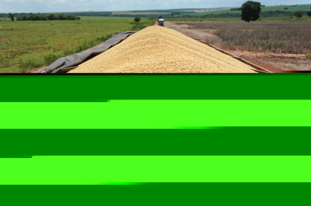 August Crop Reports So Far