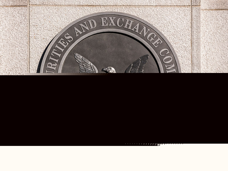 SEC bans retiring rep Ponzi schemer