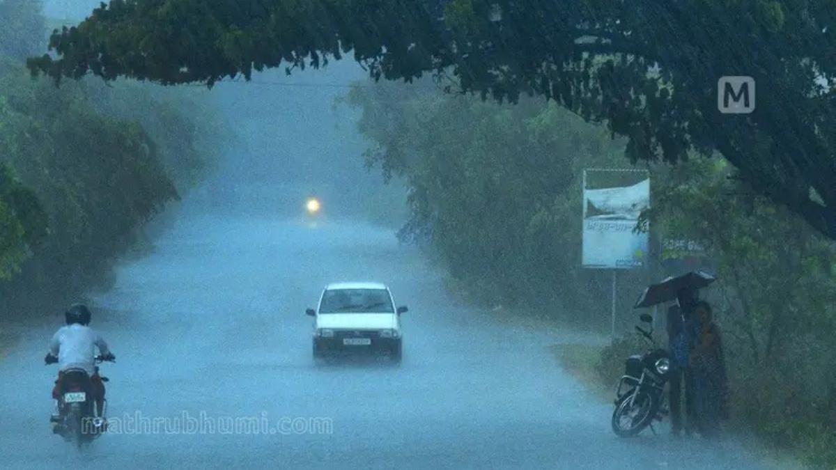 Kerala weather: Heavy rain alert in 7 districts; swell surge warning for multiple coastal belts