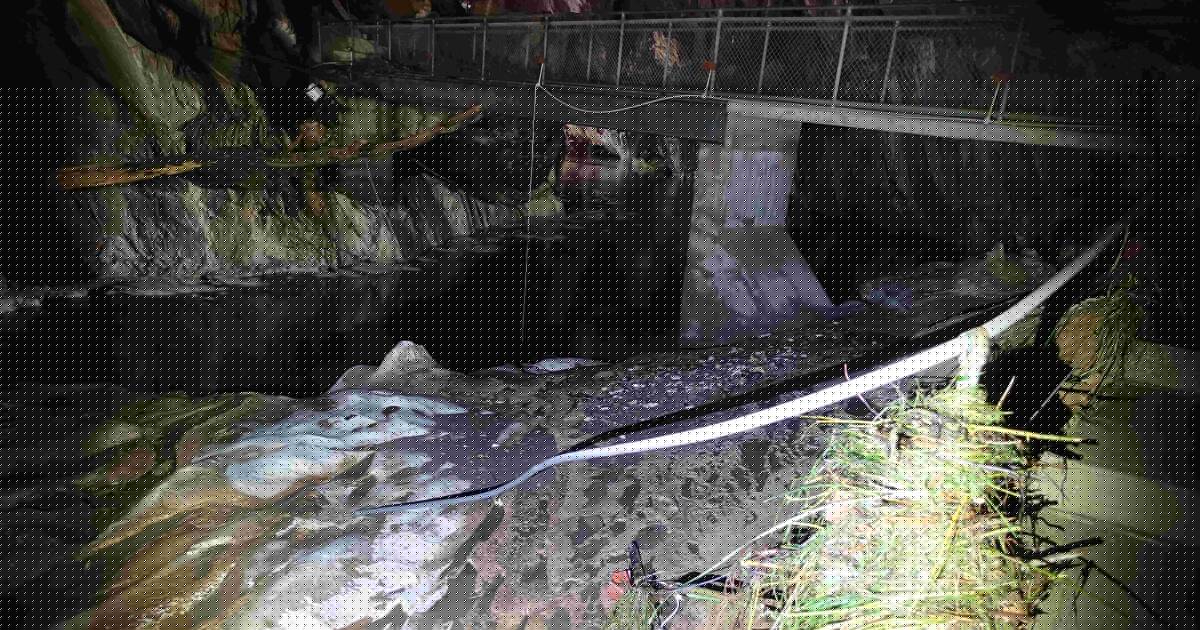 Light at the end of the tunnel: caves' restoration well underway