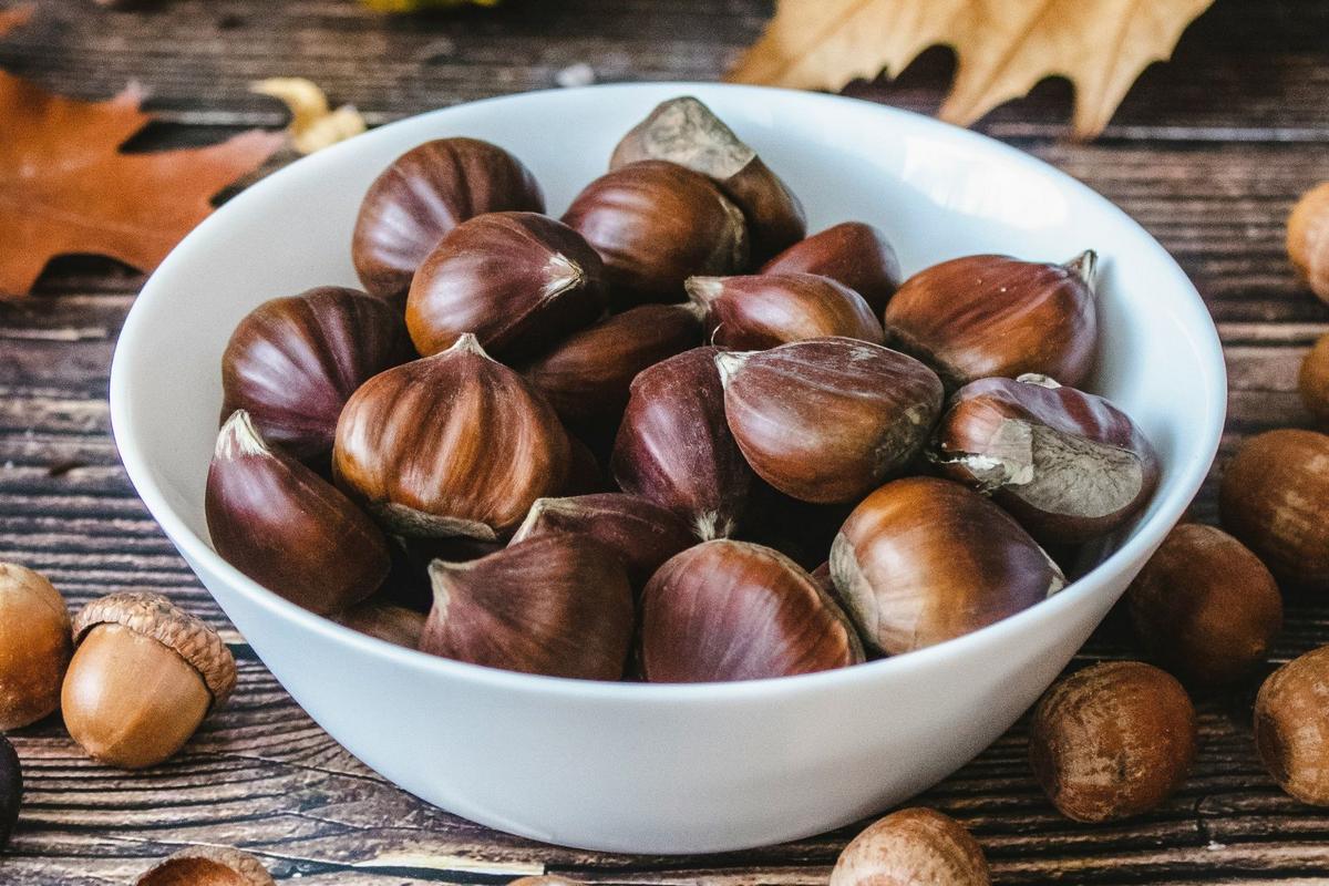 Why Chestnuts Grow Better in Michigan Than Any Other State