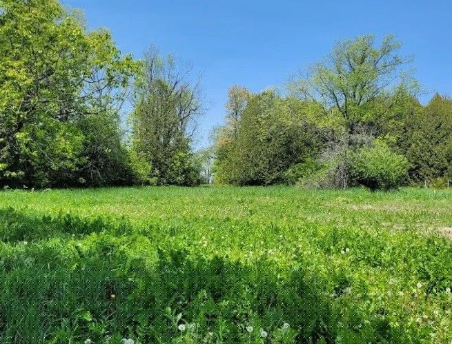 United Way to receive donations for Negro Creek park project