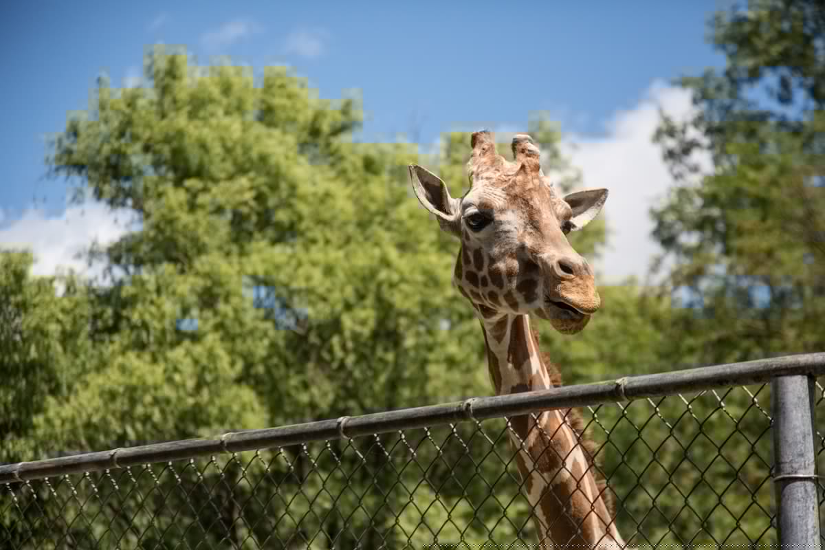 OKC Zoo Changes Hours During Oklahoma Heat Wave