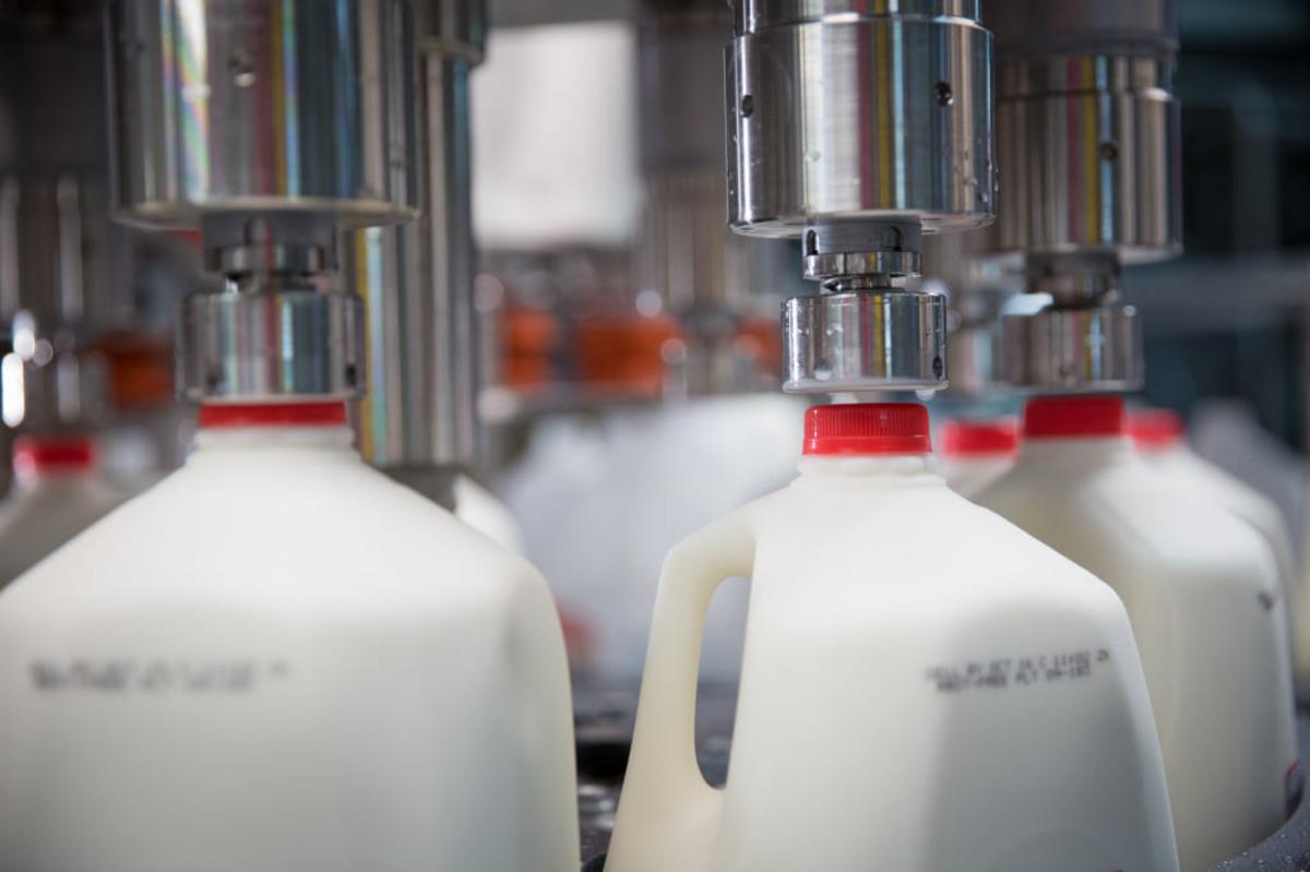 Prices Continue To Slide As Milk Production Increases