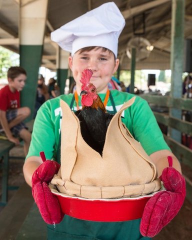 Poultry, dairy cattle exhibitions return to fair