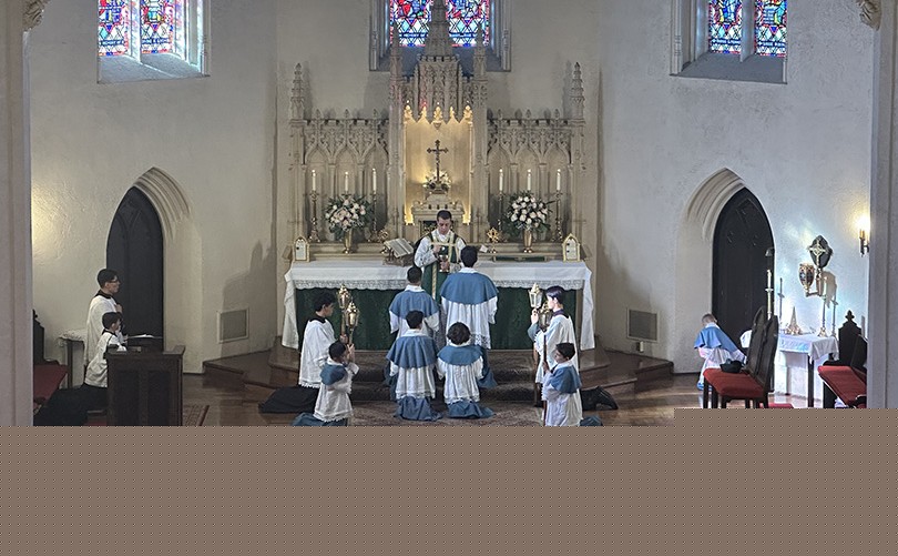 Comment on California bishop informs Traditional Latin Mass order it’s no longer needed in diocese by Mike T