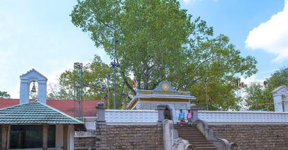 Sacred City of Anuradhapura