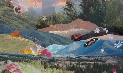 Album Reviews: Rachael Jenkins' The Valley and OrcaMind's SeaBirds
