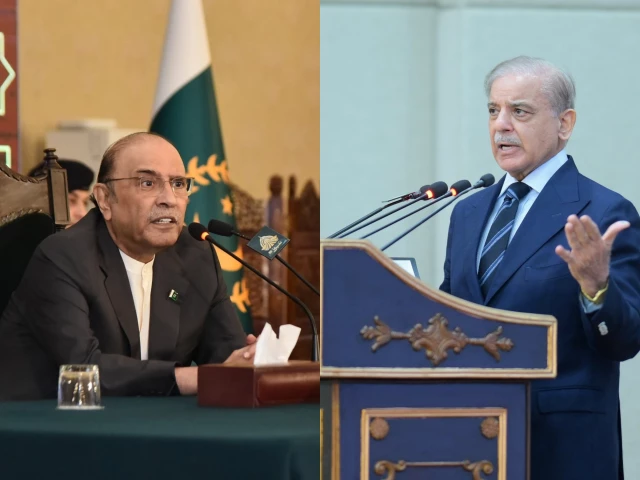 'Shared resolve for peace and security': President Zardari, PM Shehbaz hail Makkah defence pact