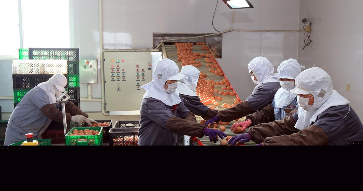 Soaring egg prices expose cracks in two-track China economy