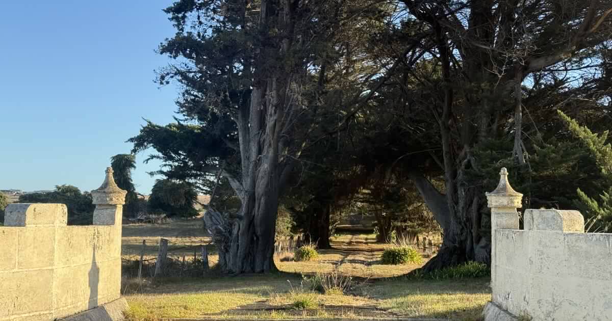 'We've lost far too much': bid to correct error on city's oldest house