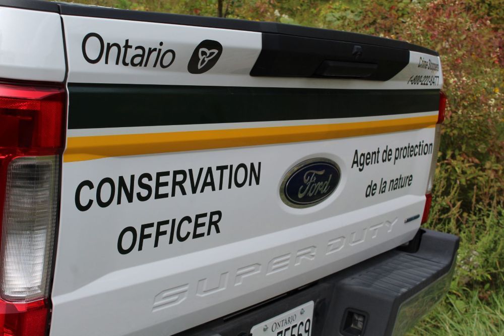 Aylmer man fined $3K for illegal deer hunt, firearm offences: Provincial officials