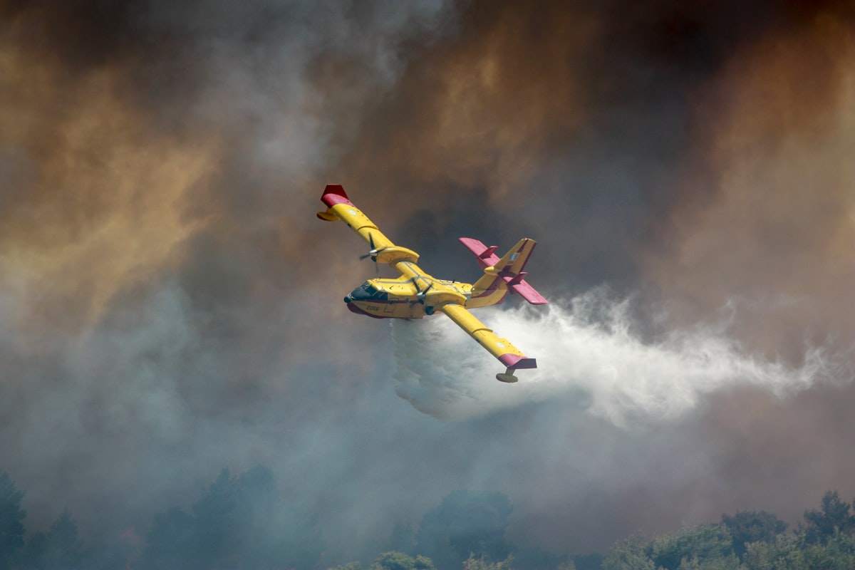 New Fire Update: Bear Trap, Camp, Thumb, And Chub Fires
