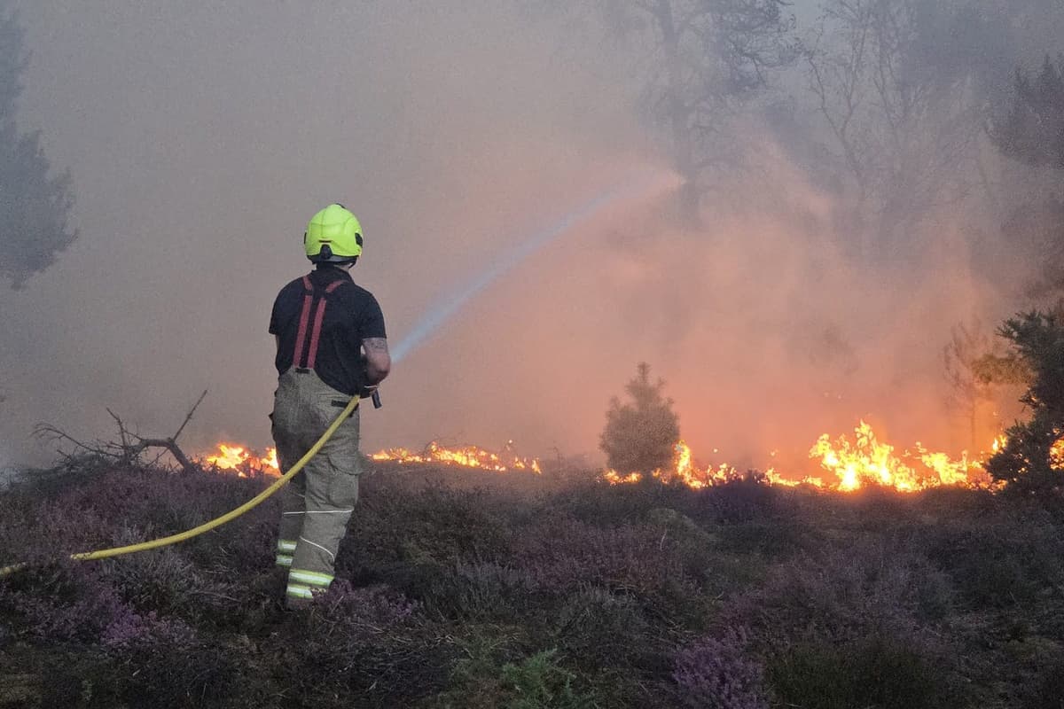 Suffolk wildfire continues to grow as Burnham pledges support for firefighters