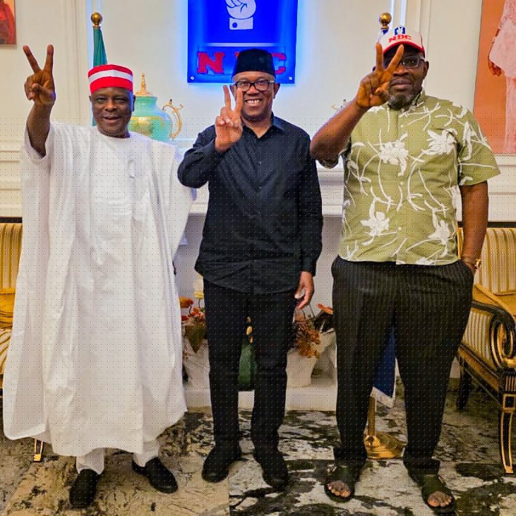 2027: NDC’s Dickson Hosts Obi, Kwankwaso Ahead of Campaign Launch