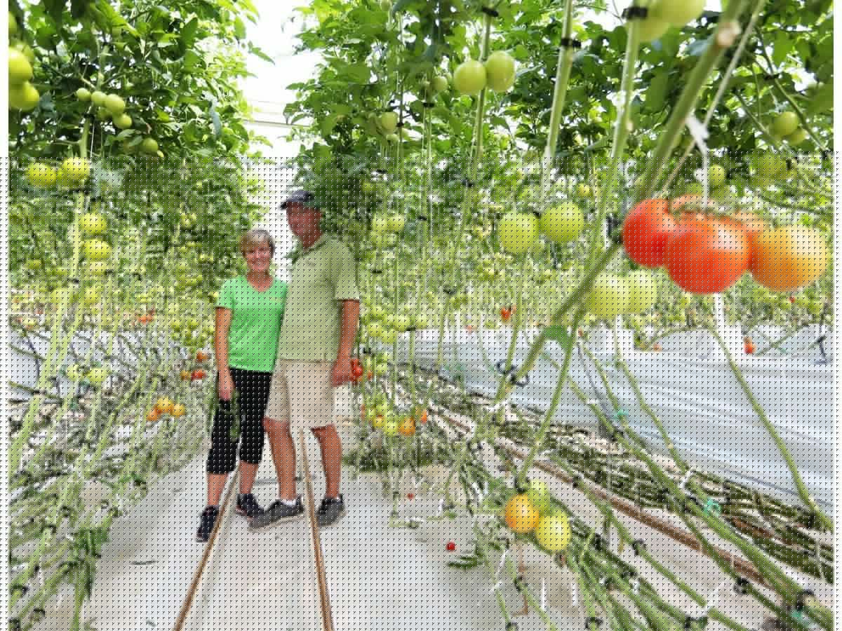 Farm to Flavours guides aim to connect southeastern Ontario residents with the neighbours who grow their food