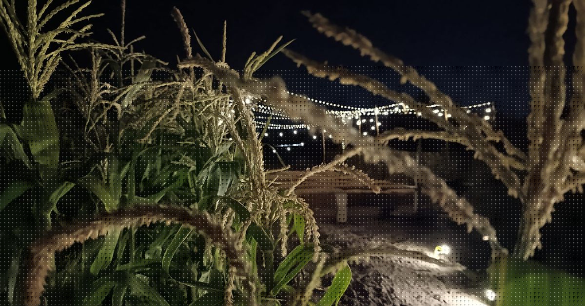 El navazo de Sanlúcar se abre a las experiencias agroturísticas