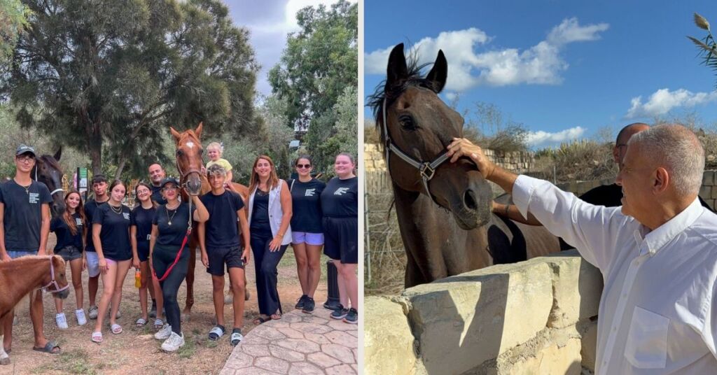 Watch: Government Strengthens Commitment To Animal Welfare Through Support For Horse Rescue