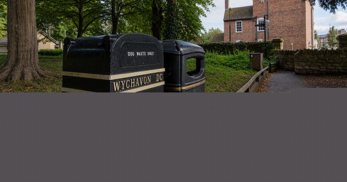 Local council considers clearer powers to tackle irresponsible dog ownership