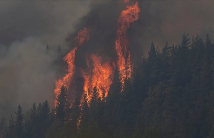 Con 230.000 hectáreas arrasadas por los incendios, los gobernadores patagónicos piden una Ley de Emergencia Ígnea