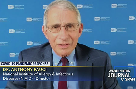 Fauci could face criminal charges after Wednesday hearing