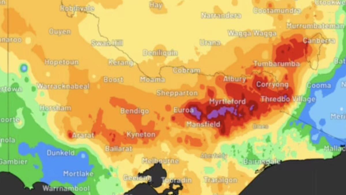 Wangaratta in Victoria’s north braces for major flooding as Owens River nears peak, dozens of warnings issued