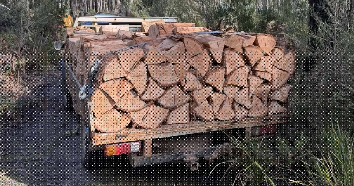 Stump up: cops and Parks staff swoop on illegal wood cutters in reserve