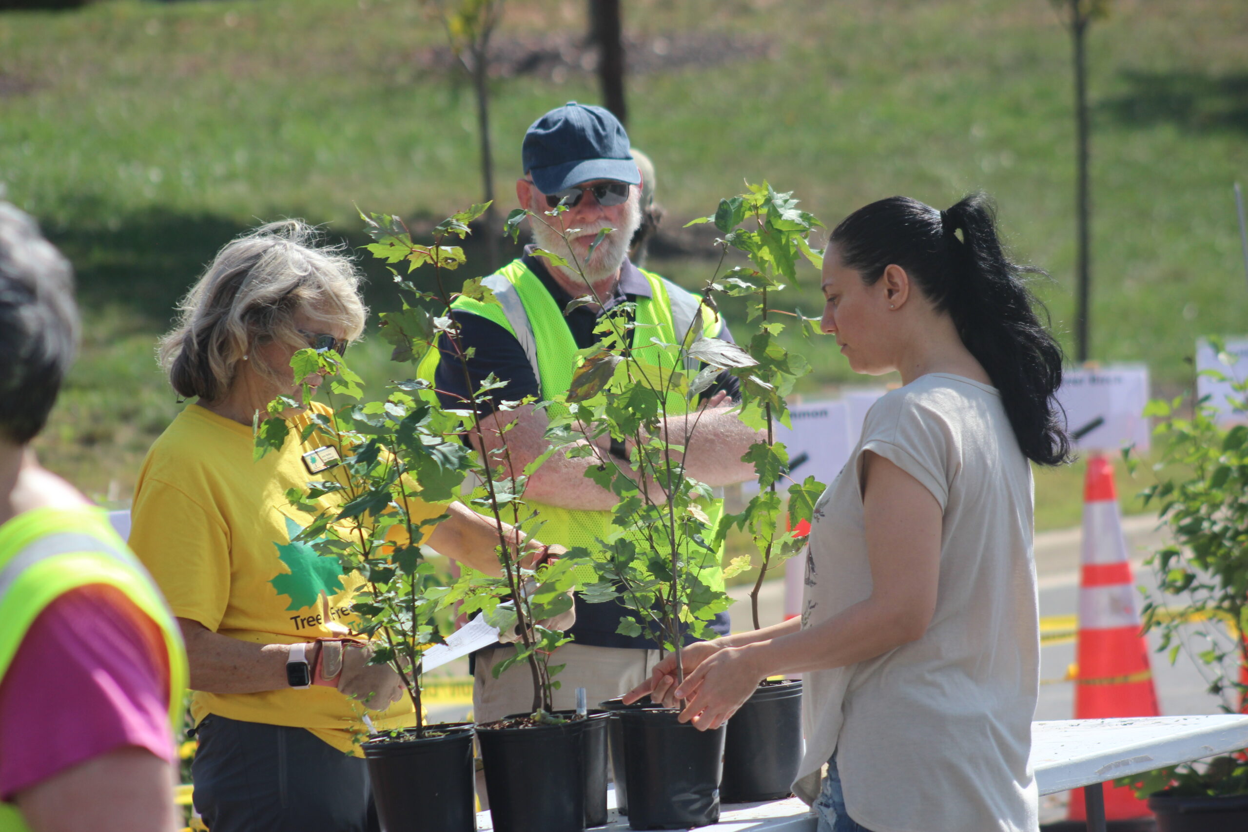 PHOTOS:  Thousands of native plants find new homes at Tree Fredericksburg Festival